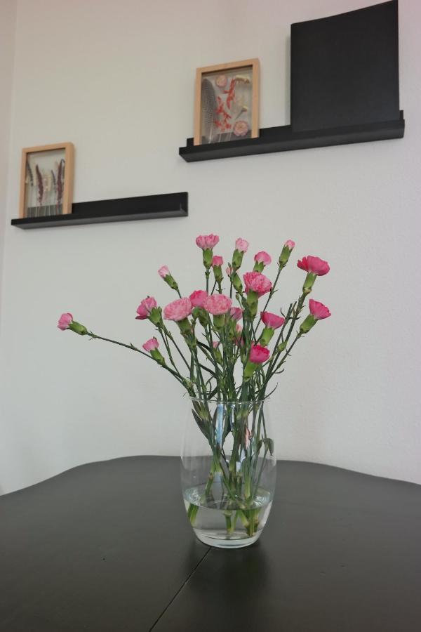 Slaap Lekker Apartment ด็อคคุม ภายนอก รูปภาพ